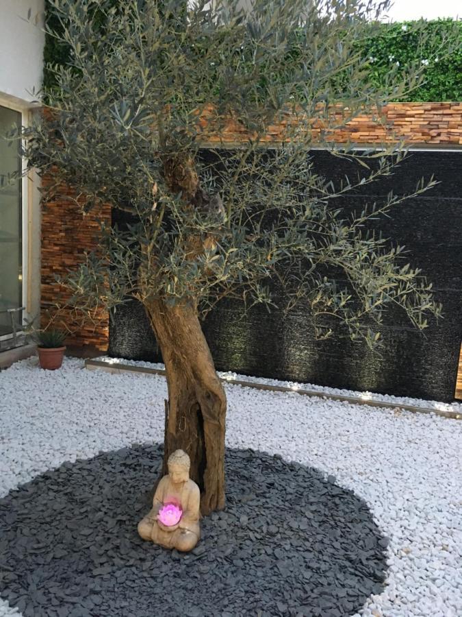 לה קאנה-דה-מור Residence Esterazur מראה חיצוני תמונה